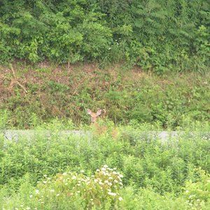 Meet your Posher, Taryn